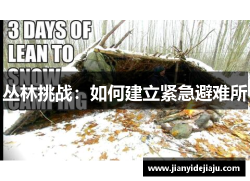 丛林挑战：如何建立紧急避难所