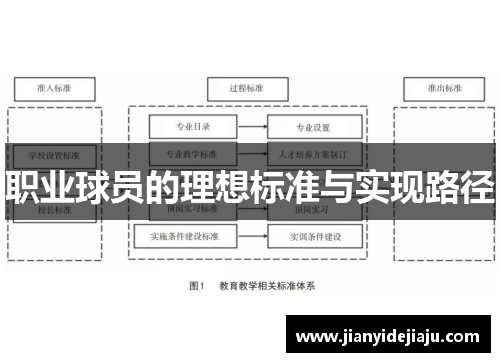职业球员的理想标准与实现路径
